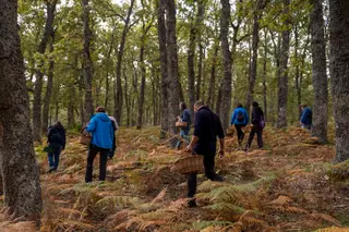 Primer parque micológico Castilla y León | Susana Martín-ICAL