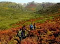 Trevinca en Primavera. CrioSanabria