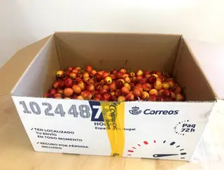 Las mejores cerezas de Toro y Benavente, a cualquier punto de la península