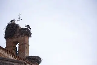 Las temperaturas, al alza