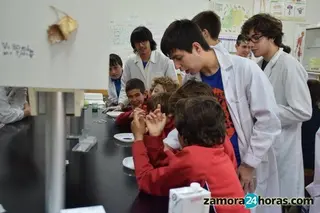 Once centros educativos zamoranos participan en la Semana de la Ciencia