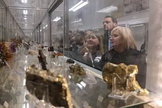 Visita Museo de Ciencias Naturales