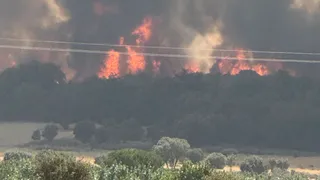 incendio forestal nivel 2 en Zamora