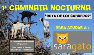 Palacios del Pan ayudará a Sara Gato con una marcha nocturna solidaria