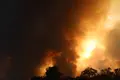 Incendio De Fermoselle. Foto Javier S. Fraile (11)