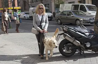Perro guía. ONCE. Acceso de personas con animales a los edificios