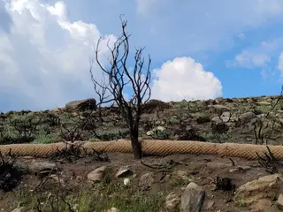 Las huellas del incendio de Porto, un año después