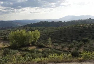 Paisaje de la Reserva de la Biosfera