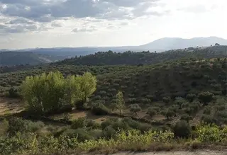 Paisaje de la Reserva de la Biosfera