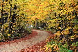 Llega el otoño