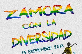 CARTEL Zamora con la Diversidad