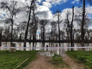 GALERÍA | Crecida del río Duero en Zamora este martes