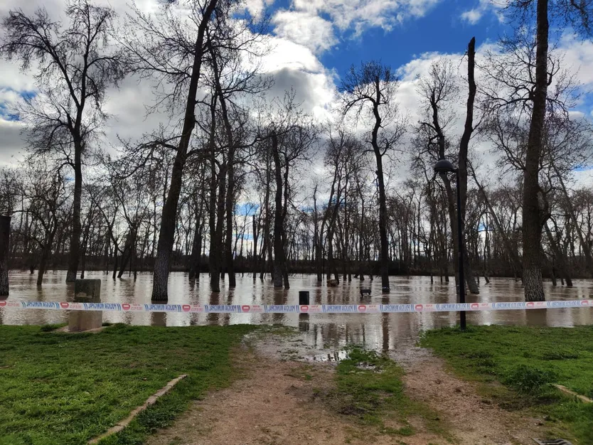 Estado del río Duero a su paso por la capital el pasado 17 de febrero