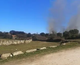 Incendio forestal en Pino del Oro