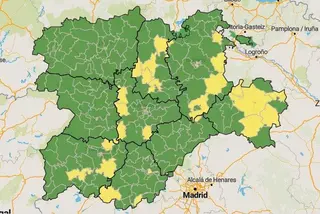 Zamora verde