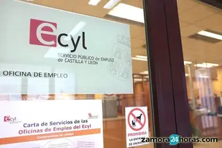 Más de mil jóvenes zamoranos se encuentran en situación de desempleo