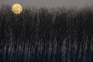 Luna superluna villaralbo