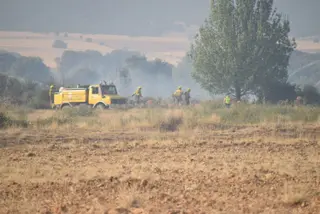 Las llamas avanzan imparables en el incendio de Losacio Foto David Barrueco (13)