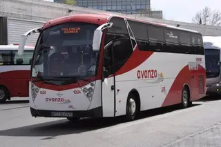 Avanza Bus