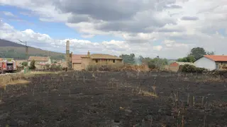 Las desoladoras imágenes de la Sierra de la Culebra tras el incendio (33)