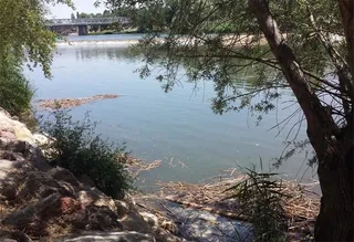 UPL pide una limpieza de las márgenes del río a su paso por la ciudad