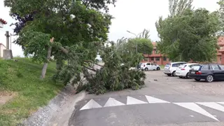 IMG 20190606 WA0032