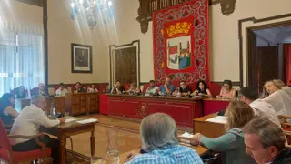 Imagen de la sesión del pleno de junio