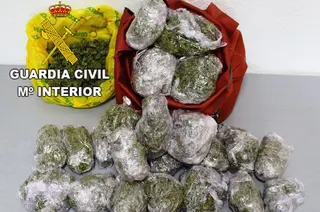 Foto marihuana 1