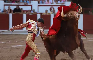 Corrida de Toros de San Pedro 2025 | María Lorenzo