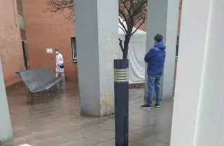 Los brotes activos en Zamora
