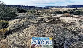 Iniciativa "Un paseo por Sayago"