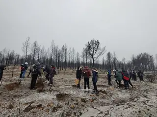 Jornada de reforestación con 2°ESO dentro del proyecto Adopta un Árbol