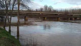 Río Órbigo Manganeses de la Polvorosa | Sofía Revenga