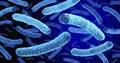 Legionella. Info Salus