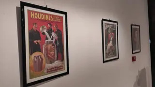 Exposición 'El Gabinete de Curiosidades'