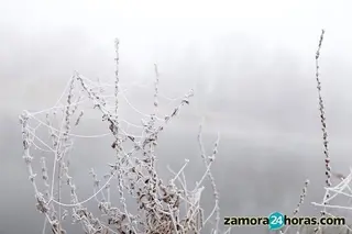 El año se despide con alerta amarilla por bajas temperaturas