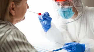 Pcr