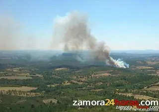 El Colegio de Ingenieros de Montes de la región, satisfecho con la campaña de incendios