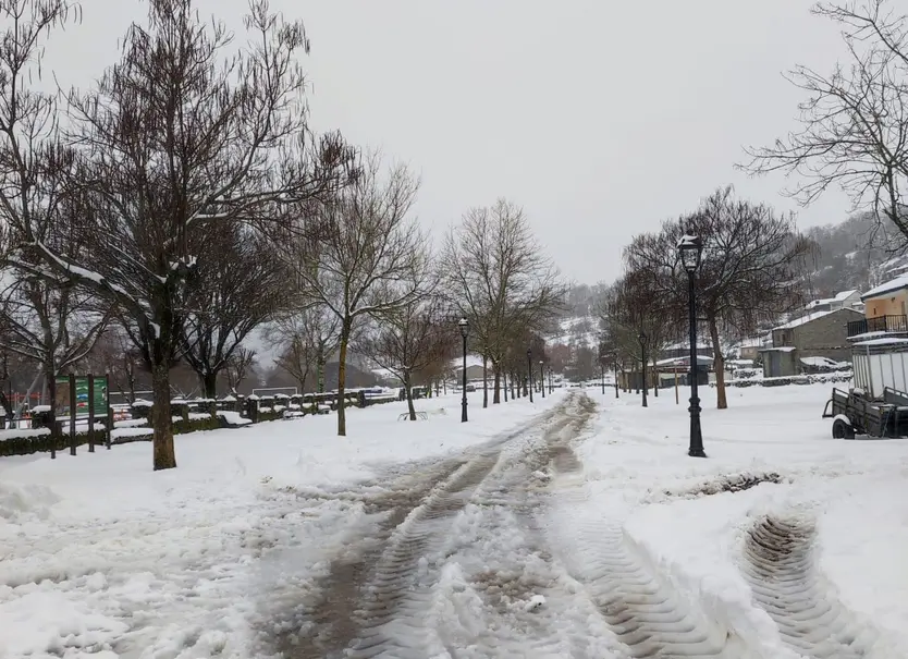 Ferial de Porto esta mañana