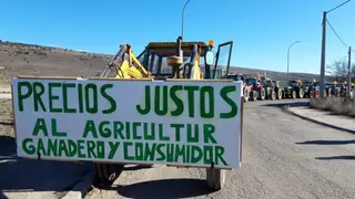 El porqué de la España vaciada: diferencias de hasta un 600% entre el precio que reciben agricultores y ganaderos y lo que pagan los consumidores