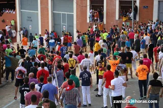 Fiestas del Toro Enmaromado de Benavente. Archivo. Foto: María Lorenzo