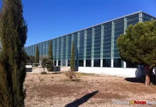 Zamora podría contar con un nuevo mercadillo los domingos