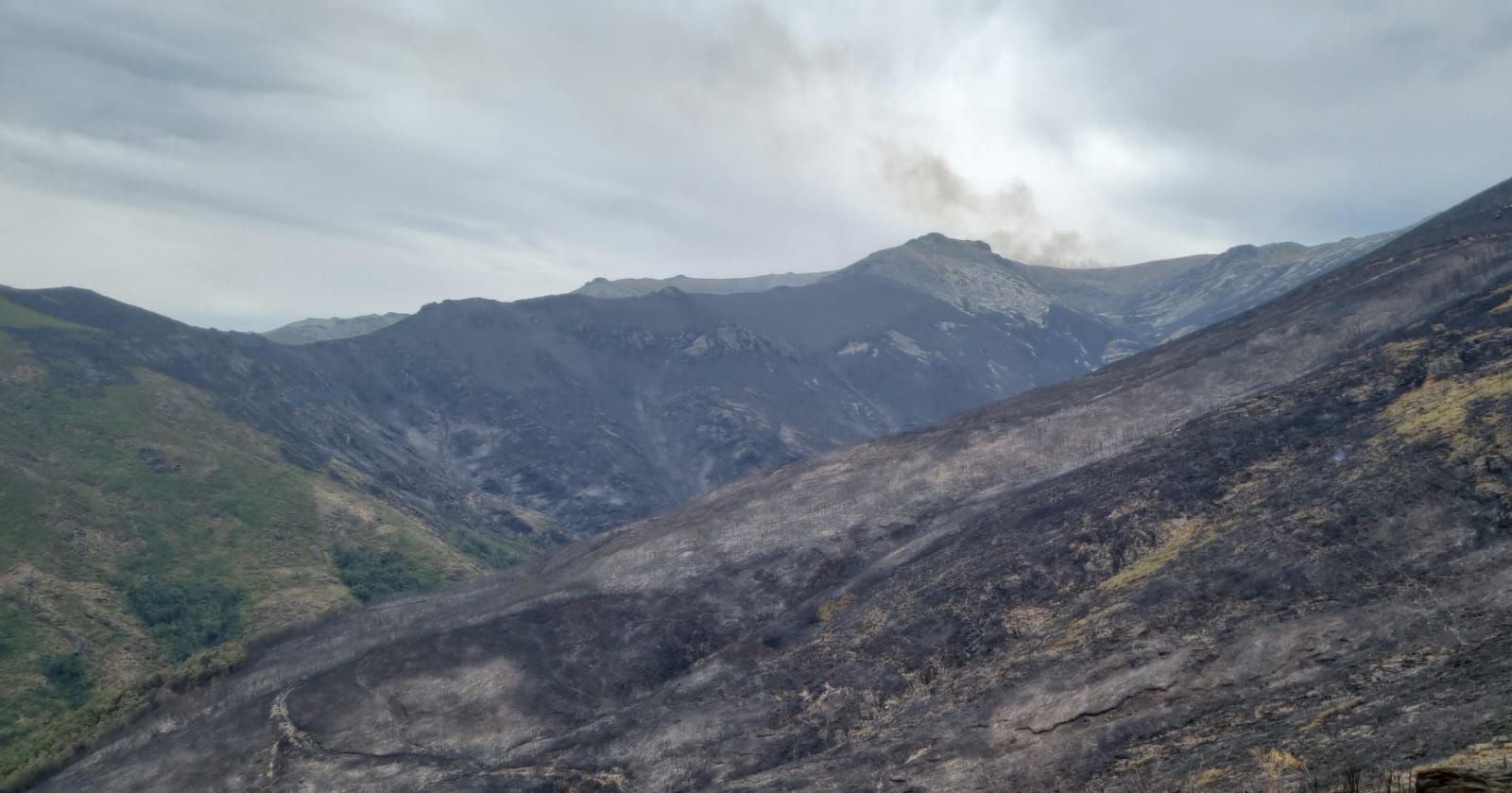 AT_Brif Incendio Porto