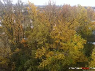 Animan a disfrutar de 70 experiencias turísticas en otoño en Castilla y León