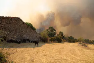 Imágenes del incendio en Fermoselle