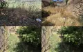 Imagen de algunas zonas del barrio de La Horta