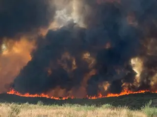 Incendio de Vegalatrave en el término de Losacio