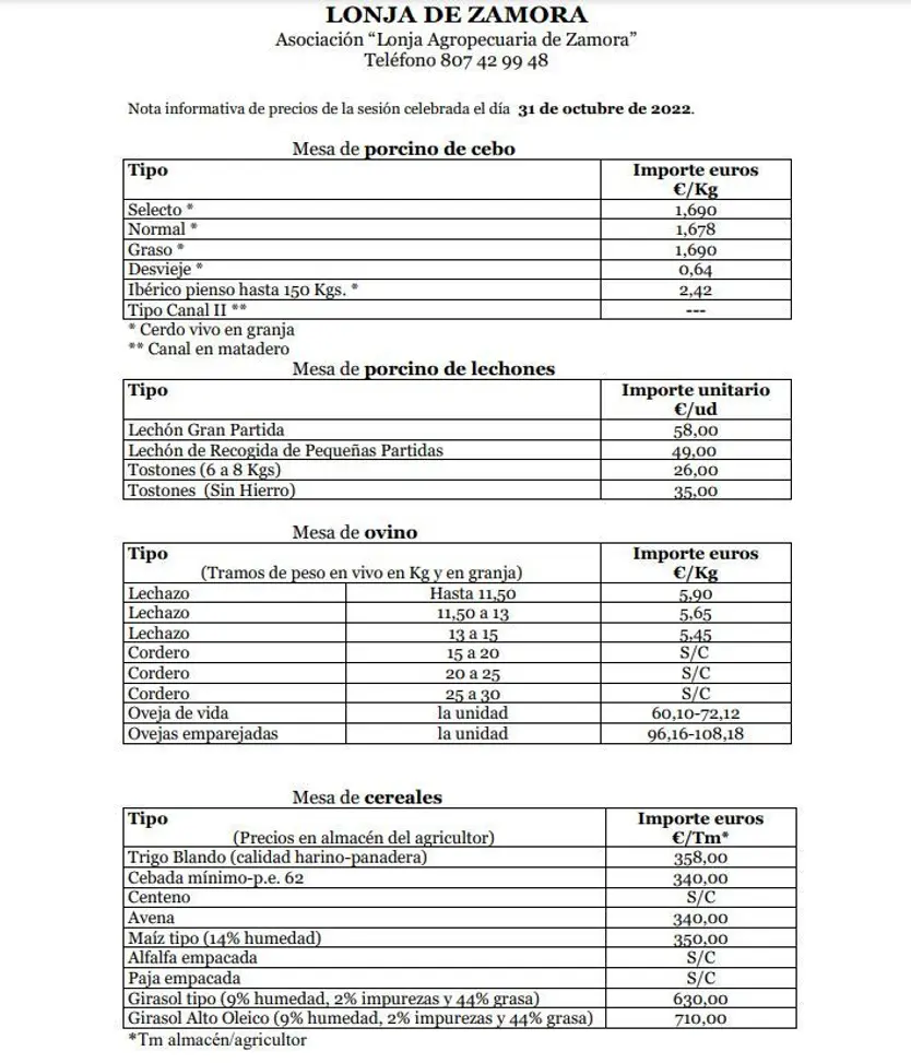 Lonja de Zamora. 31 de octubre