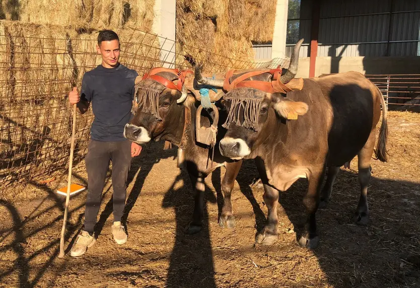 Víctor Pérez junto a dos cabezas de ganado