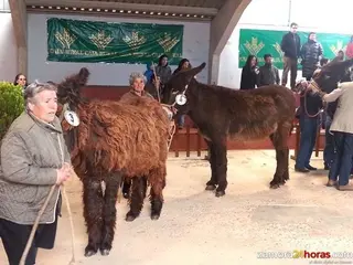 Los buches suscitaron en San Vitero el mismo interés que siempre pero las subastas quedaron desiertas